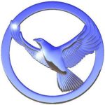 cropped-jellyhawk-logo1.jpg